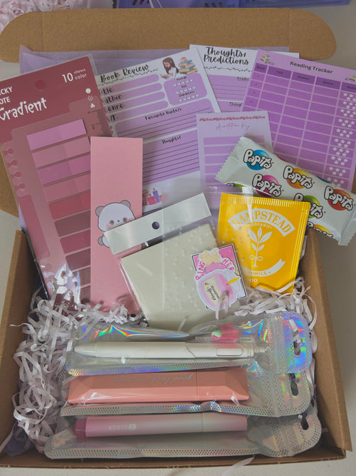 Blush Pink Annotator Starter Cozy Bundle Gift Set