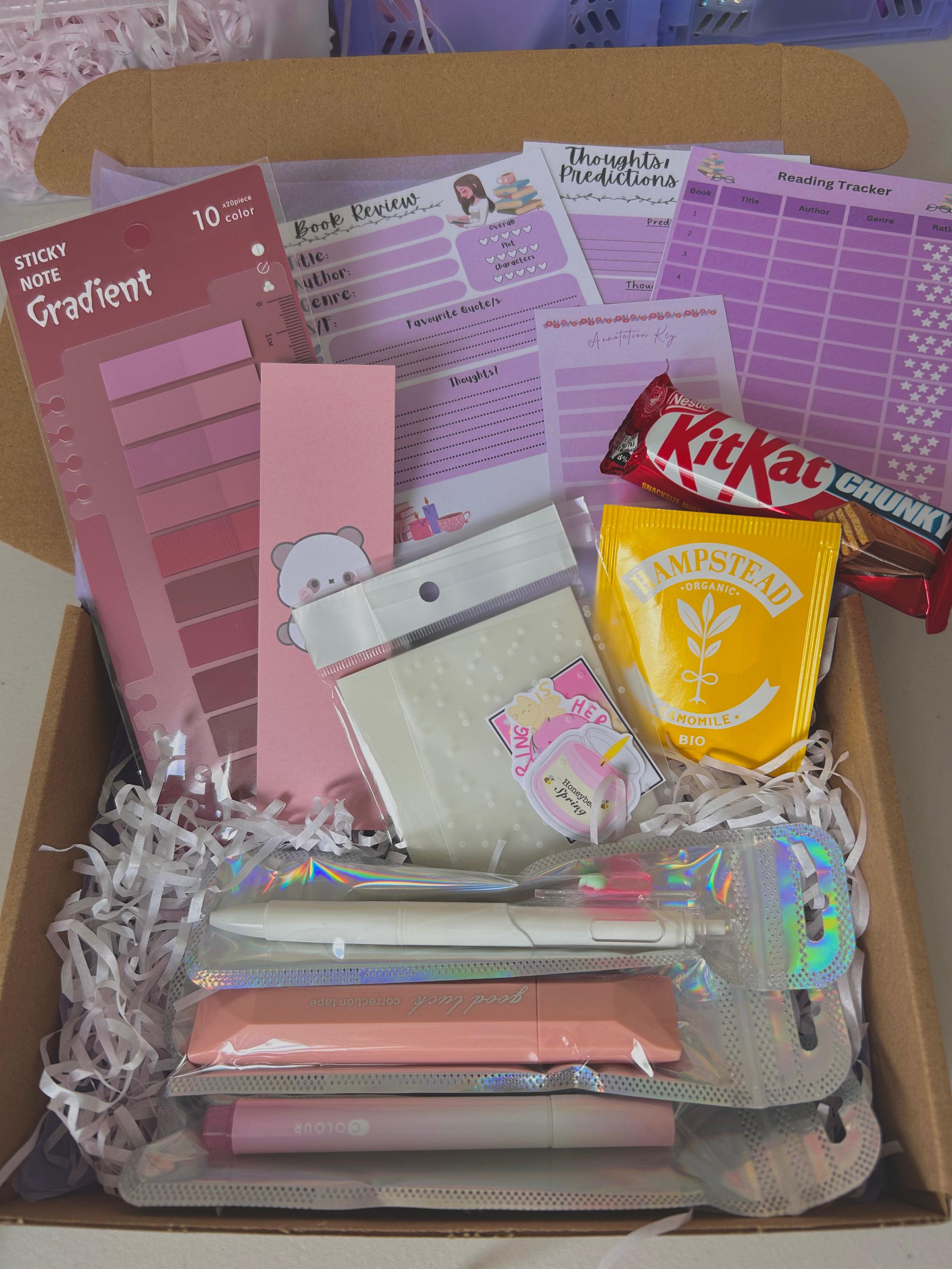 Blush Pink Annotator Starter Cozy Bundle Gift Set